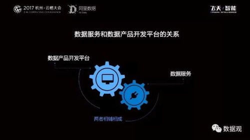 阿里數(shù)據(jù)服務(wù)產(chǎn)品開發(fā)及大數(shù)據(jù)體系 實(shí)錄 ppt干貨